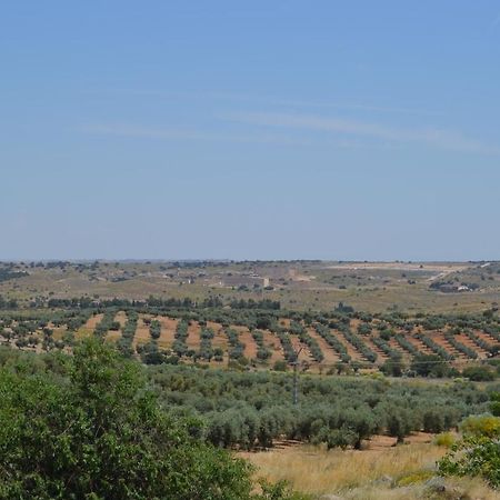 Casa Rural La Finca Guadamur Kültér fotó